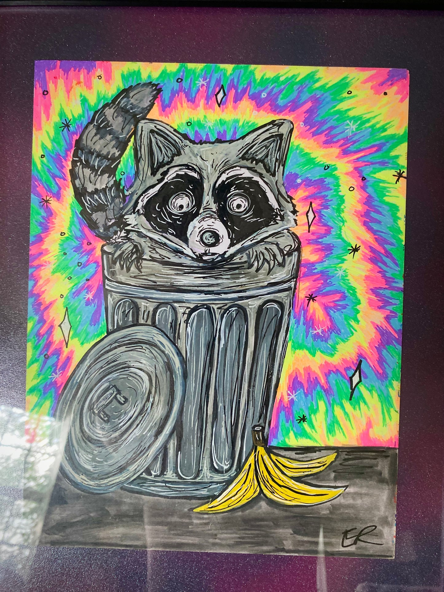 Raccoon original framed drawing